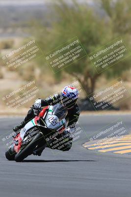 media/May-14-2023-SoCal Trackdays (Sun) [[024eb53b40]]/Turn 5 Tree of Life (1125am)/